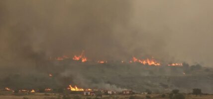 इजरायलको जङ्गलमा भीषण आगलागी, आपत्काल घोषणा
