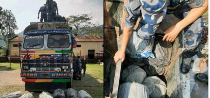सुनसरीबाट ७८३ किलो गाँजासहित ट्रक नियन्त्रणमा