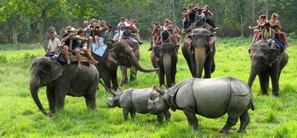 निकुञ्ज घुम्ने पर्यटकको सङ्ख्यामा कमी