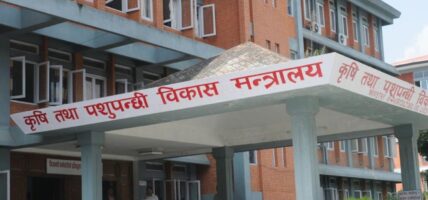 कृषि मन्त्रालयको बजेट अघिल्लो वर्षभन्दा ०.३३ प्रतिशत मात्रै बढी