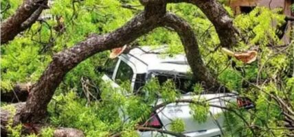 उत्तर प्रदेशमा आँधी र वर्षाका कारण ५१ जनाको मृत्यु
