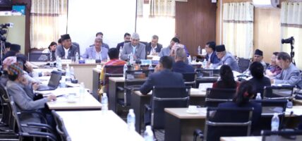 नागरिकता विधेयकमाथि संशोधनकर्तासँग छलफल सम्पन्न