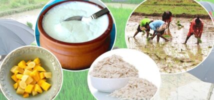 असार १५ : धान दिवस र दही चिउराको सांस्कृतिक पर्व मनाइँदै