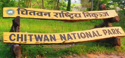 चाडपर्वमा निकुञ्जको सुरक्षामा कडाइ