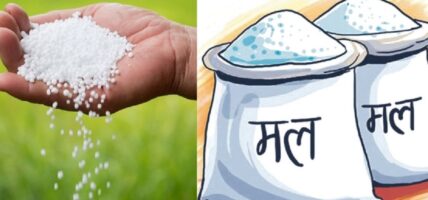किसानलाई रु ३६ करोड ३९ लाखको रासायनिक मल बिक्री