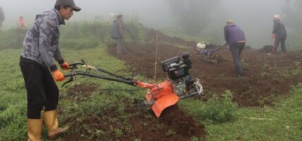 तेह्रथुमका किसान व्यावसायिक रूपमा सिस्नुखेती गर्दै