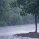 पश्चिम क्षेत्रबाट वर्षा सुरु, वर्षा गराउने प्रणाली पूर्वतर्फ सर्दै पश्चिम क्षेत्रबाट वर्षा सुरु, वर्षा गराउने प्रणाली पूर्वतर्फ सर्दै