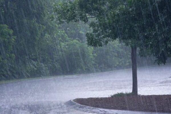 पश्चिम क्षेत्रबाट वर्षा सुरु, वर्षा गराउने प्रणाली पूर्वतर्फ सर्दै पश्चिम क्षेत्रबाट वर्षा सुरु, वर्षा गराउने प्रणाली पूर्वतर्फ सर्दै