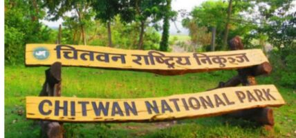 निकुञ्जसम्बन्धी कसुरमा ४४२ जना पक्राउ