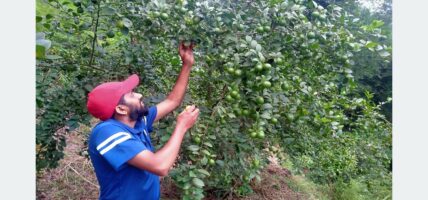 बाँझिएकोे जमिनलाई फाँडेर रहरलाग्दो कागतीखेती