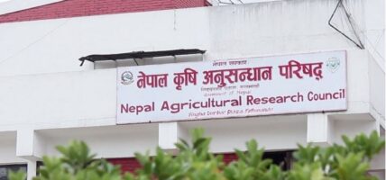 स्वीकृत दरबन्दीको आधामा सञ्चालन हुँदै नार्क
