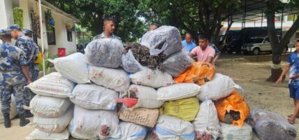 सशस्त्र प्रहरी बल रौतहटद्वारा ३० बोरा सुर्ती बरामद