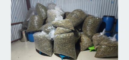 लागुपदार्थ सेवन गरिरहेका टिकट काउन्टरका सात जना कर्मचारी पक्राउ