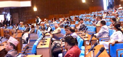 बालबालिकासम्बन्धी विधेयक दफावार छलफलका लागि समितिमा पठाइयो