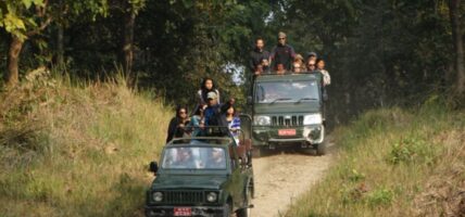 दसैँअघि चितवन राष्ट्रिय निकुञ्जभित्र जिप सफारी