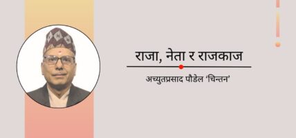 राजा, नेता र राजकाज