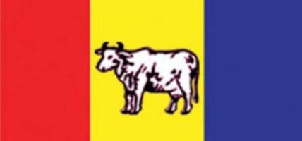 प्रतिनिधिसभा निर्वाचनका लागि राप्रपाद्वारा दल दर्ता