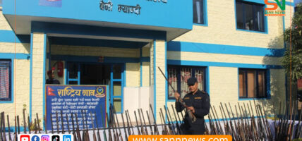 म्याग्दीमा १ सय १५ थान बन्दुक बरामद