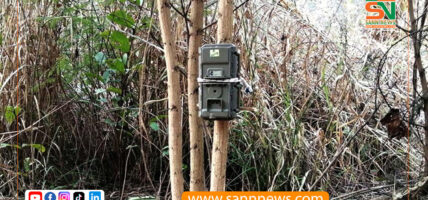 बाघ गणनामा राखिएका सातवटा क्यामरामा क्षति