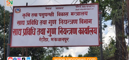 खाद्यान्नमा मिसावटका अभियोगमा व्यापारीविरुद्ध मुद्दा