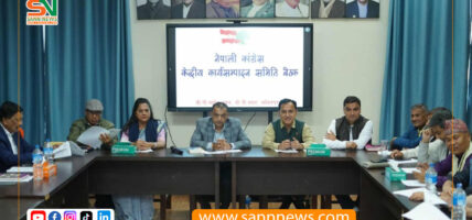 काँग्रेसले टुंग्यायो २० जना समानुपातिक सांसद