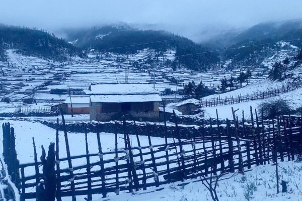 ढोरपाटनमा भारी हिमपात