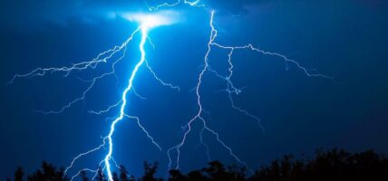 चट्याङ लागेर ३९ भेडाबाख्रा मरे