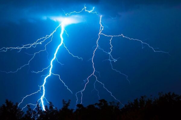 चट्याङ लागेर ३९ भेडाबाख्रा मरे