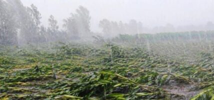 हावाहुरीले बागलुङ, गुल्मी र प्युठानमा ठूलो क्षति पुरायो ।