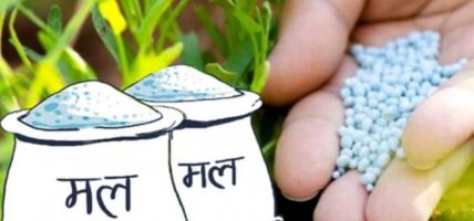 भारतबाट ८० हजार मेट्रिक टन मल ल्याइँदै