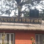 पशुपति क्षेत्र विकास कोषको नयाँ नियमावली जारी, कार्यकारी निर्देशक पद नरहने