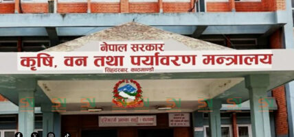 अनुदानमा उपलब्ध गराएको मलको कालोबजारी गर्नेलाई कारबाही गरिने