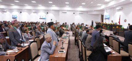 प्रतिनिधिसभा नियमावली मस्यौदा पेस