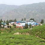 भारतीय अवरोधले नेपाली चिया उद्योग संकटमा, इलाम-झापाका दर्जनौं उद्योग बन्द