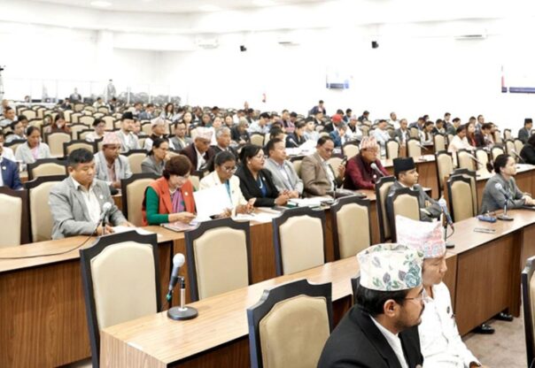 प्रतिनिधिसभाः समयमै रासायनिक मल उपलब्ध गराउन माग