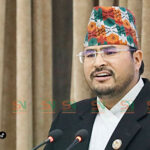 अर्थमन्त्रीको सर्टिफिकेटमा होइन, करका दर हेरफेर भयो कि भएन भनेर प्रश्न गरेका हौँ: शाही