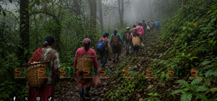 च्याउ खोज्न निकुञ्ज गएका तीन महिला फेला, १४ जना सम्पर्कविहीन