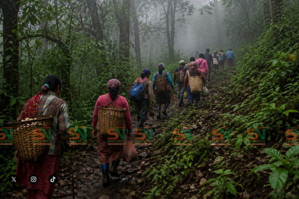 च्याउ खोज्न निकुञ्ज गएका तीन महिला फेला, १४ जना सम्पर्कविहीन च्याउ खोज्न निकुञ्ज गएका तीन महिला फेला, १४ जना सम्पर्कविहीन