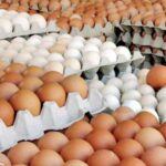 माग बढेसँगै अण्डाको समर्थन मूल्य पनि बढ्यो