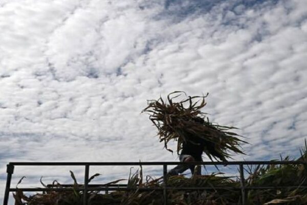 इक्वेडरमा एल निनोका कारण आपत्काल घोषणा