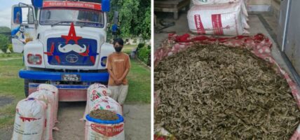 उदयपुरमा १९९ किलो गाँजासहित टिपर चालक पक्राउ