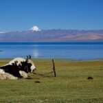 मानसरोवर गएका २५ सय मानिस फर्किए मानसरोवर गएका २५ सय मानिस फर्किए