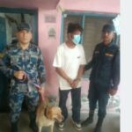 सीमामा जब ‘अल्फा’ ले नियमित जाँच गर्न थालेपछि…. सीमामा जब ‘अल्फा’ ले नियमित जाँच गर्न थालेपछि….