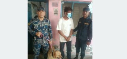 सीमामा जब ‘अल्फा’ ले नियमित जाँच गर्न थालेपछि….