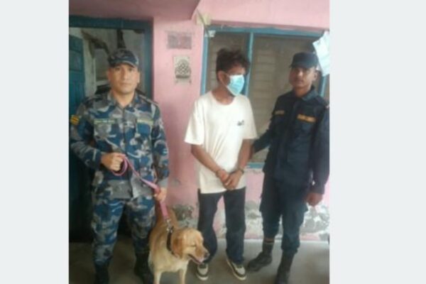 सीमामा जब ‘अल्फा’ ले नियमित जाँच गर्न थालेपछि…. सीमामा जब ‘अल्फा’ ले नियमित जाँच गर्न थालेपछि….